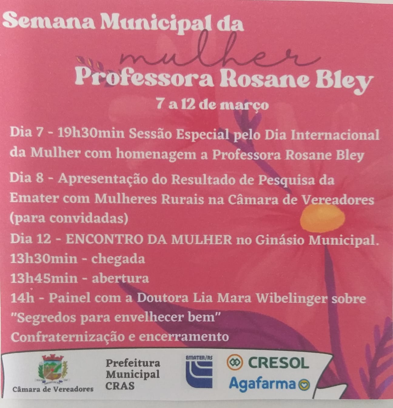 Semana Municipal da Mulher-Professora Rosane Bley